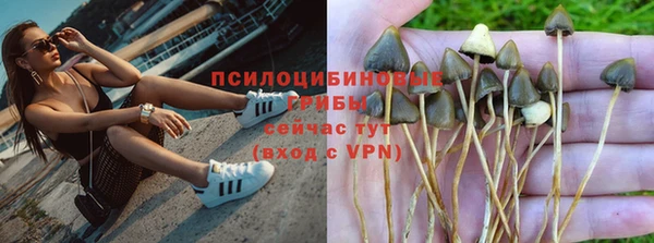 прущий лед Аша