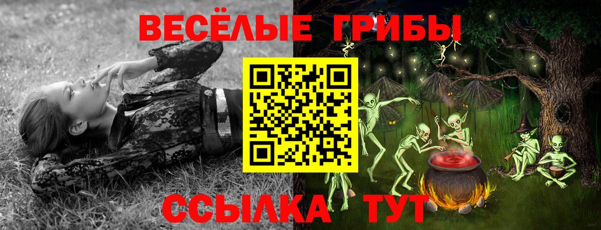 Галлюциногенные грибы Psilocybe Беслан